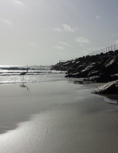 Sandy Beach Photo