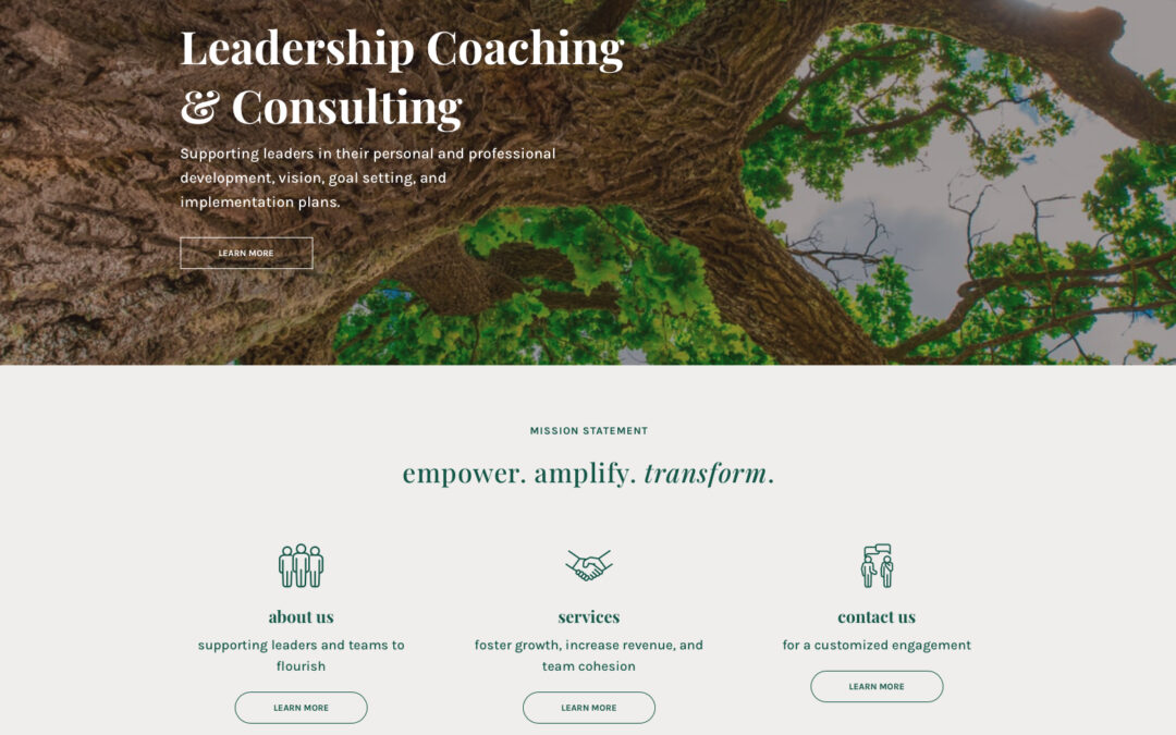 Elan Consulting Firm