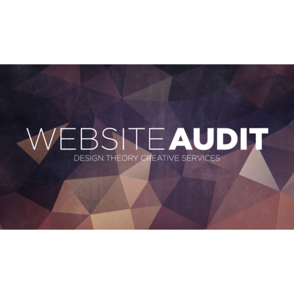 Website Audit Image-1