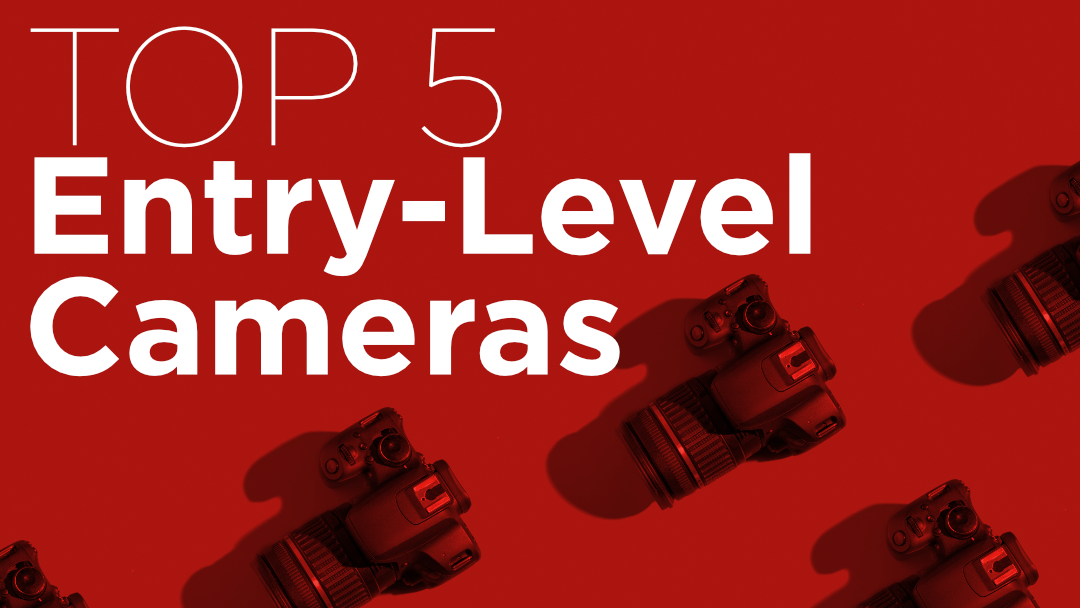 Top 5 Entry-Level Cameras for Small Business Owners & Content Creators in 2025