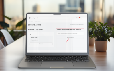 How to Give Your Web Agency Access to Your GoDaddy Account