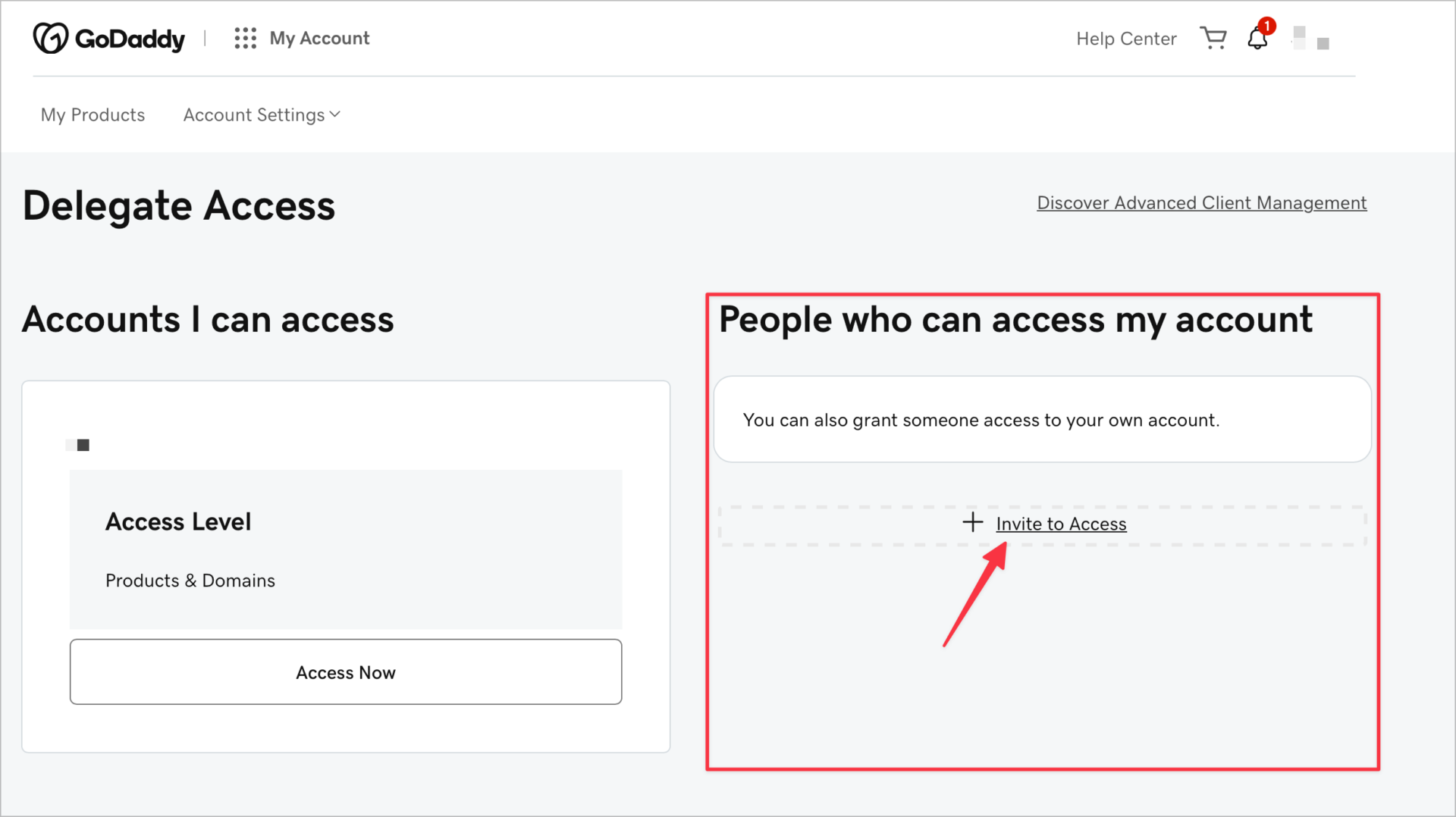 GoDaddy Invite to Access-1
